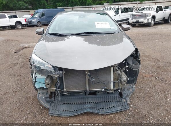 5YFBURHEXKP927615 2019 TOYOTA COROLLA Gray Սալոնի հետևի տեսք