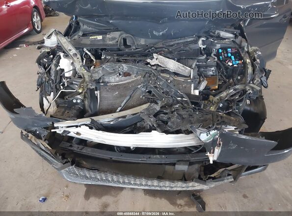 5YFT4MCE1RP205555 2024 TOYOTA COROLLA Серый Вид сзади