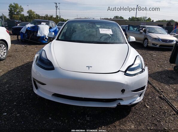 5YJ3E1EA0PF491610 2023 TESLA MODEL 3 White Rear interior view