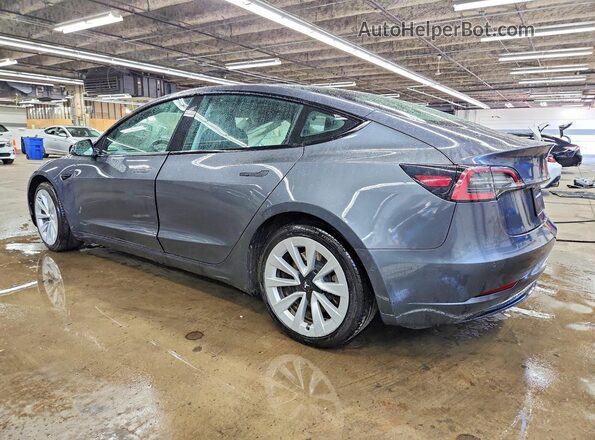 5YJ3E1EA1NF369075 2022 TESLA MODEL Gray უკანა მარცხენა