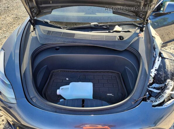 5YJ3E1EA2MF907331 2021 TESLA MODEL Gray Rear interior view