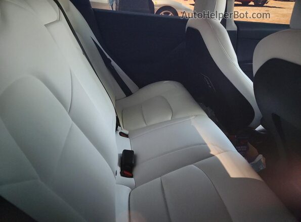 5YJ3E1EA5MF059221 2021 TESLA MODEL Белый Вид задних сидений