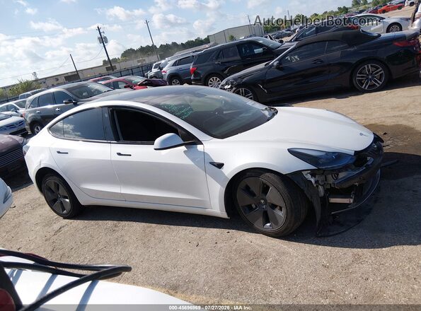 5YJ3E1EA5PF579116 2023 TESLA MODEL 3 White Widok wnętrza z tyłu