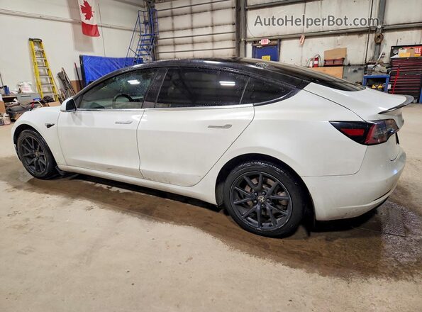 5YJ3E1EA6LF603840 2020 TESLA MODEL White უკანა მარცხენა