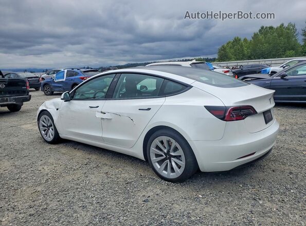5YJ3E1EA7MF070320 2021 TESLA MODEL White Задня ліва чверть