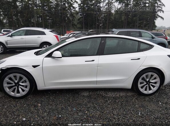 5YJ3E1EA9MF088592 2021 TESLA MODEL 3 White Widok z przodu