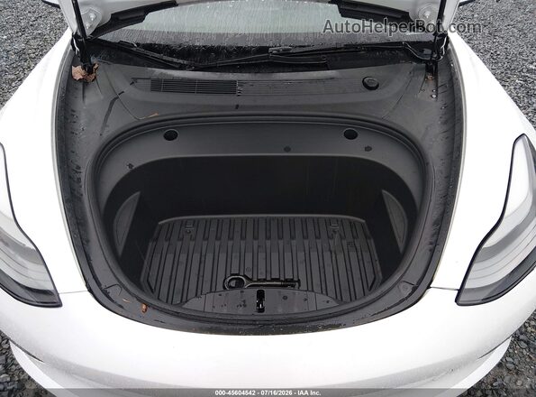 5YJ3E1EA9MF088592 2021 TESLA MODEL 3 White Widok z tyłu