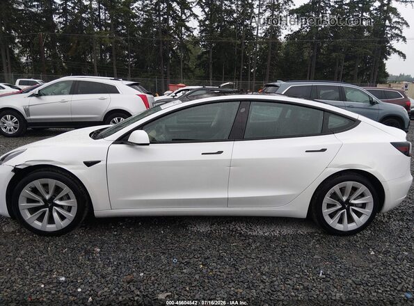5YJ3E1EA9MF088592 2021 TESLA MODEL 3 White Widok wnętrza 360 stopni