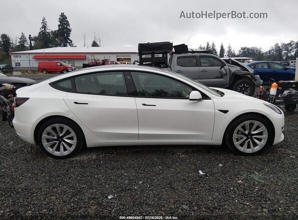 5YJ3E1EA9MF088592 2021 TESLA MODEL 3 White Widok wnętrza z tyłu