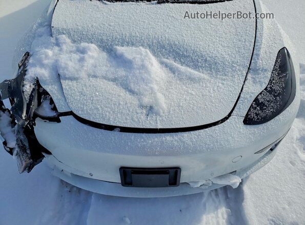 5YJ3E1EB0MF860325 2021 TESLA MODEL Белый Вид задней части салона