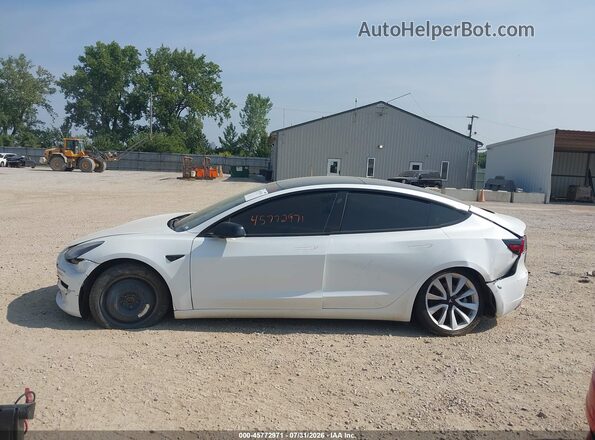 5YJ3E1EB2LF646368 2020 TESLA MODEL 3 White უკანა სალონის ხედი