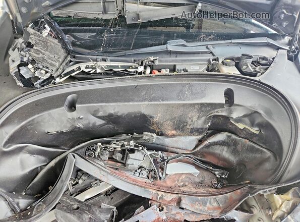 5YJ3E1EB5LF619925 2020 TESLA MODEL Gray Widok wnętrza z tyłu