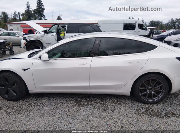 5YJ3E1EB7KF494425 2019 TESLA MODEL 3 White 