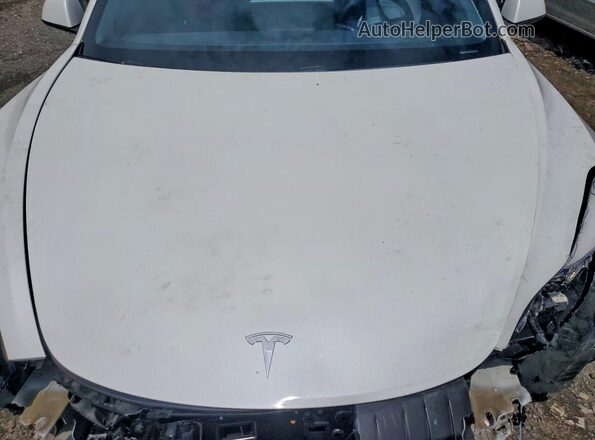 5YJ3E1EB7MF973267 2021 TESLA MODEL Белый Вид задней части салона