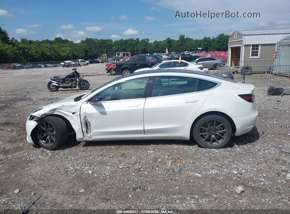 5YJ3E1EB8LF637075 2020 TESLA MODEL 3 White Widok wnętrza z tyłu