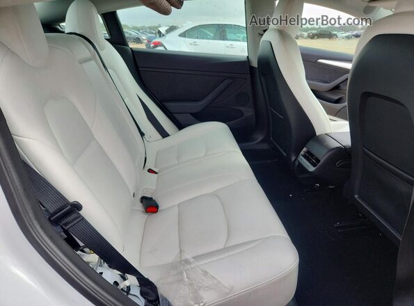 5YJ3E1EB9NF254359 2022 TESLA OTHER Белый Вид задних сидений
