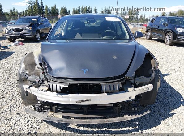 5YJ3E1EB9PF692365 2023 TESLA MODEL 3 Серый Вид задней части салона