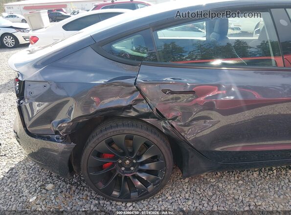 5YJ3E1EC3PF462880 2023 TESLA MODEL 3 Серый Вид спереди