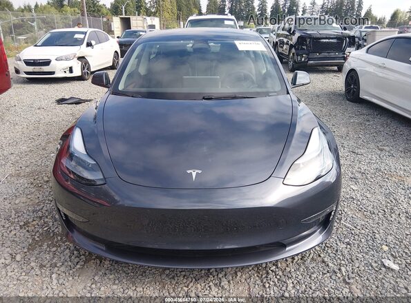 5YJ3E1EC3PF462880 2023 TESLA MODEL 3 Серый Вид задней части салона