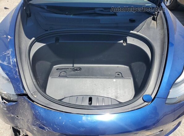 5YJ3E1EC8LF641202 2020 TESLA MODEL Blue Սալոնի հետևի տեսք