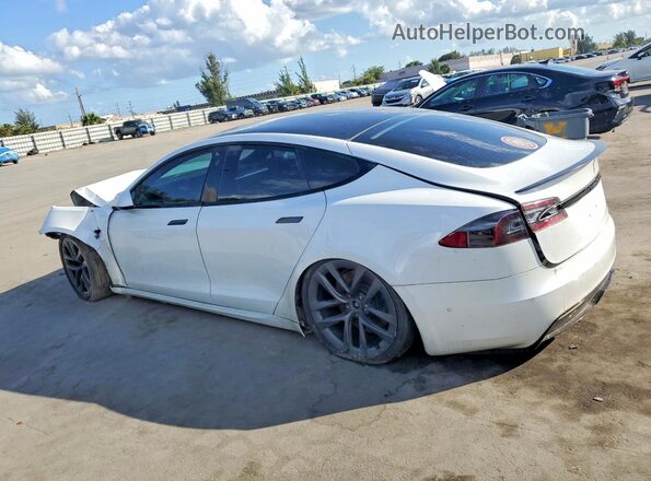 5YJSA1E60MF437237 2021 TESLA MODEL White Հետևի ձախ