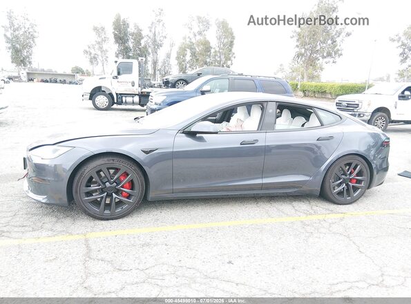5YJSA1E66PF522037 2023 TESLA MODEL S Серый 