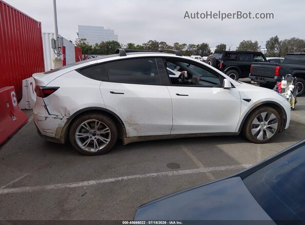 5YJYGAEE4MF234304 2021 TESLA MODEL Y Белый Вид задней части салона