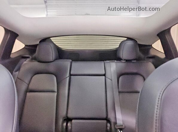 5YJYGDEE0LF022550 2020 TESLA MODEL Green უკანა სავარძლების ხედი