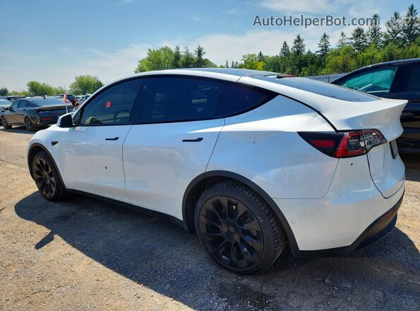 5YJYGDEE0MF139966 2021 TESLA MODEL White უკანა მარცხენა