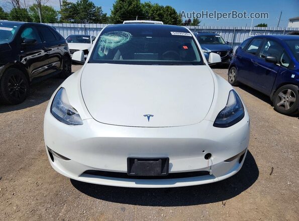 5YJYGDEE0MF139966 2021 TESLA MODEL White წინა ხედი