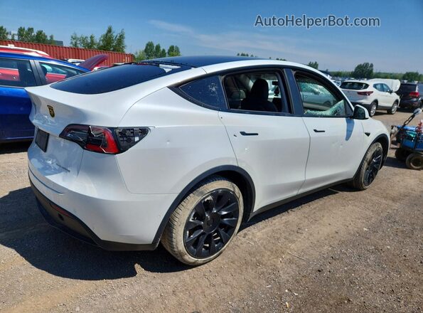 5YJYGDEE0MF139966 2021 TESLA MODEL White უკანა მარჯვენა