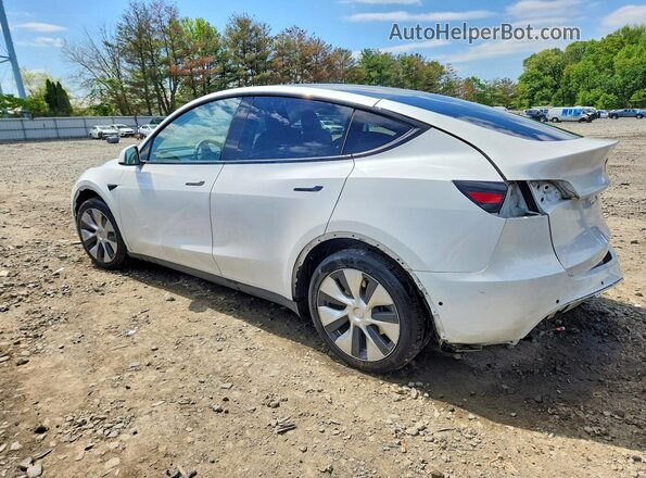 5YJYGDEE0MF204248 2021 TESLA MODEL White Tył lewy