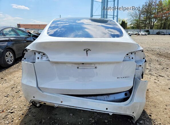 5YJYGDEE0MF204248 2021 TESLA MODEL White Widok z tyłu