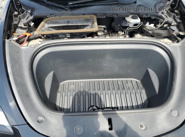5YJYGDEE2LF029838 2020 TESLA MODEL Black Սալոնի հետևի տեսք