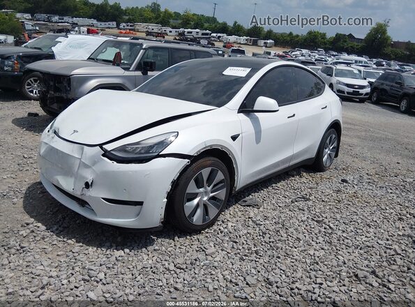 5YJYGDEE2MF294390 2021 TESLA MODEL Y White Front left