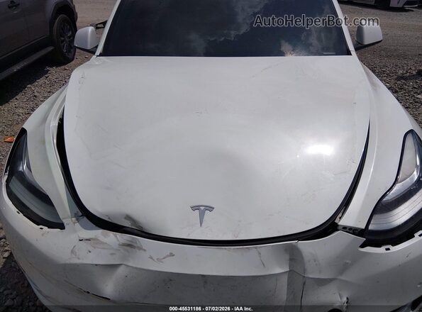 5YJYGDEE2MF294390 2021 TESLA MODEL Y White Rear view