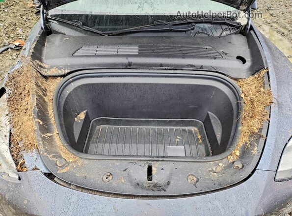 5YJYGDEE3LF006844 2020 TESLA MODEL Gray Widok komory silnika