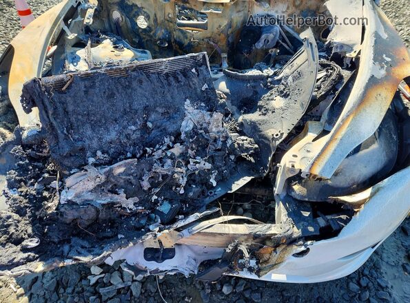 5YJYGDEE3LF032845 2020 TESLA MODEL Burn Rear interior view