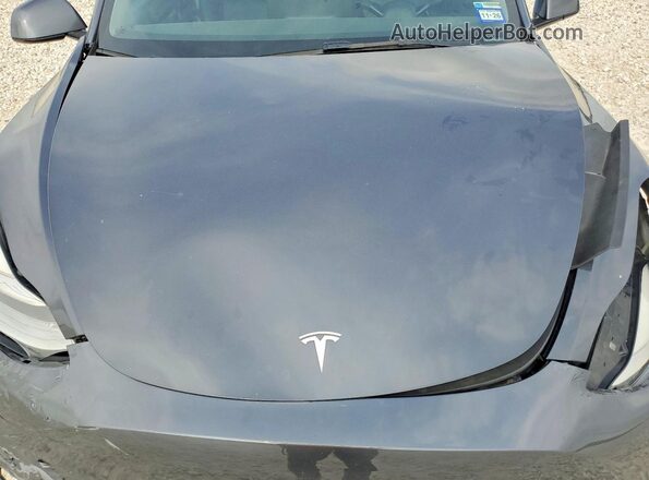 5YJYGDEE3MF202946 2021 TESLA MODEL Угольный Вид задней части салона