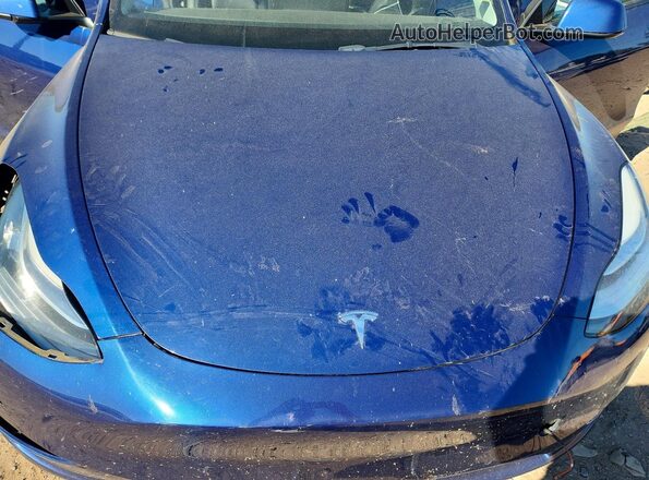 5YJYGDEE3MF266226 2021 TESLA MODEL Blue Widok wnętrza z tyłu