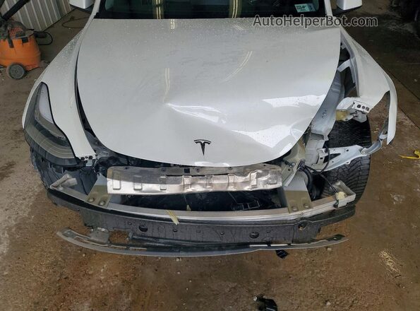 5YJYGDEE4MF078217 2021 TESLA MODEL Белый Вид подкапотного пространства