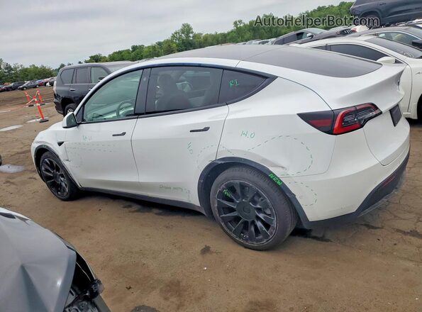 5YJYGDEE4MF121051 2021 TESLA MODEL White Հետևի ձախ