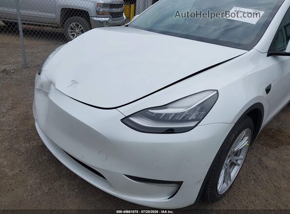 5YJYGDEE4MF287411 2021 TESLA MODEL Y White 