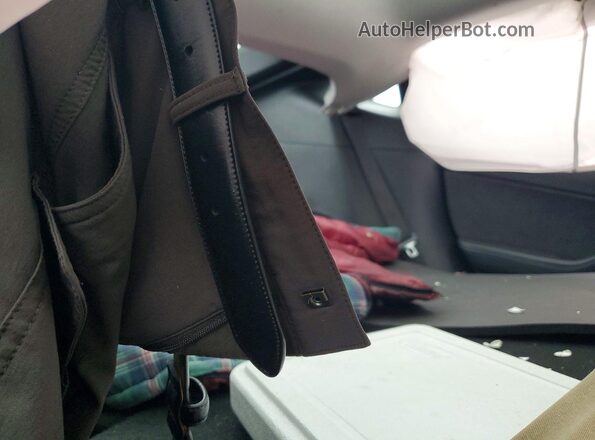 5YJYGDEE6LF058131 2020 TESLA MODEL Blue Вид задньої частини салону