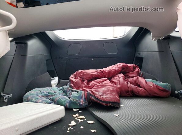 5YJYGDEE6LF058131 2020 TESLA MODEL Blue Вид задніх сидінь