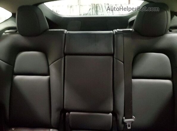 5YJYGDEE6MF080101 2021 TESLA MODEL Черный Вид задних сидений