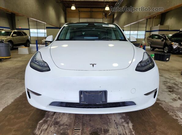 5YJYGDEE6MF184135 2021 TESLA MODEL White წინა ხედი
