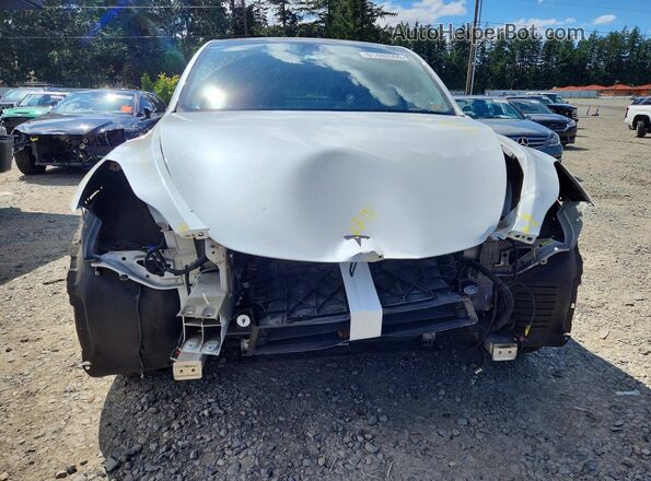 5YJYGDEE7MF153685 2021 TESLA MODEL Белый Вид спереди