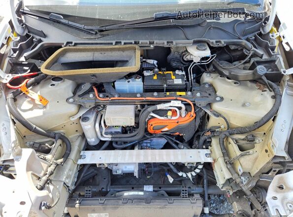 5YJYGDEE7MF153685 2021 TESLA MODEL Белый Вид задней части салона