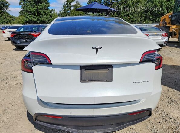 5YJYGDEE7MF153685 2021 TESLA MODEL Белый Вид сзади